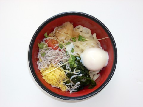 本日のメニュー