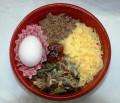 本日のメニュー