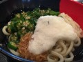 本日のメニュー