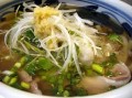 本日のメニュー
