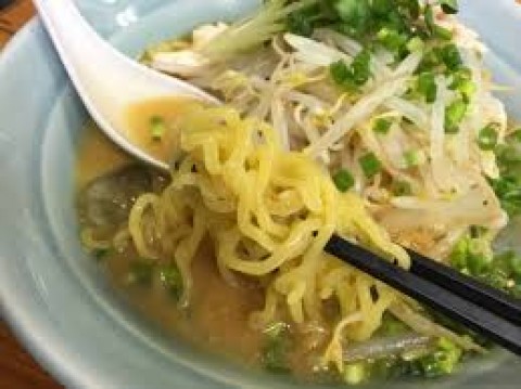 本日のメニュー